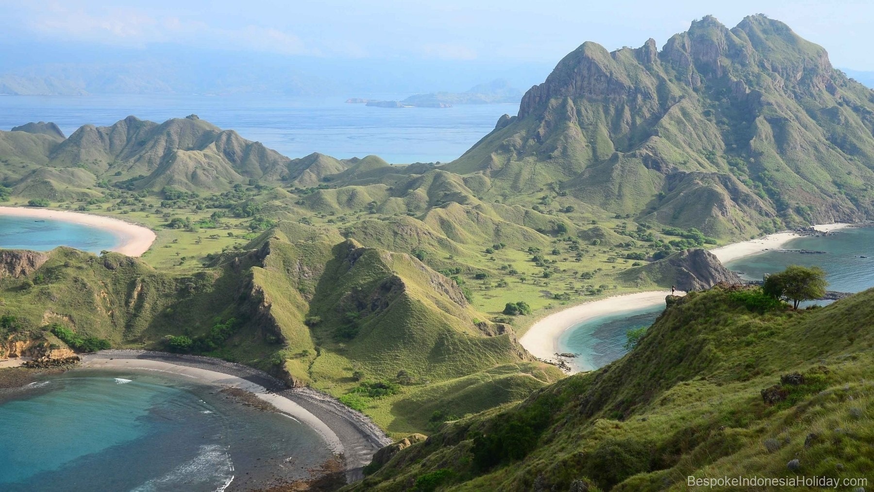 A view of the mountainous green archipelago and sandy sea bays. Padar Island | Komodo Tour | Bespoke Indonesia Holiday.