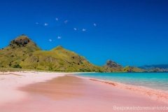 flores-komodo-island-national-park-pink-beach