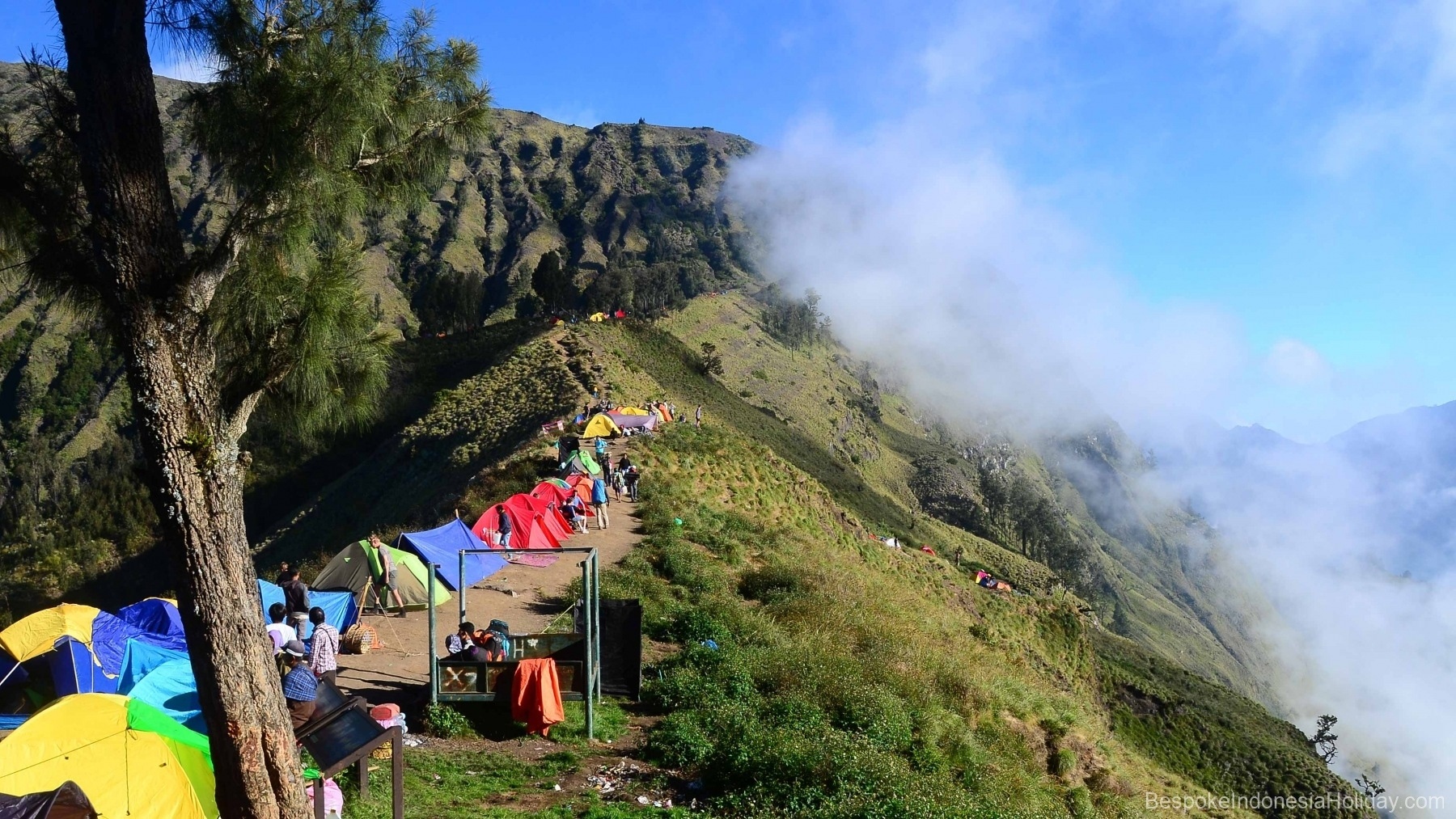 On the green crater rim of the volcano, there are numerous tents of different colors lined up and a few people. Lombok. Mount Rinjani Trekking Trip | Bespoke Indonesia Holiday.