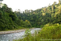 sumatera-bukit-lawang-river