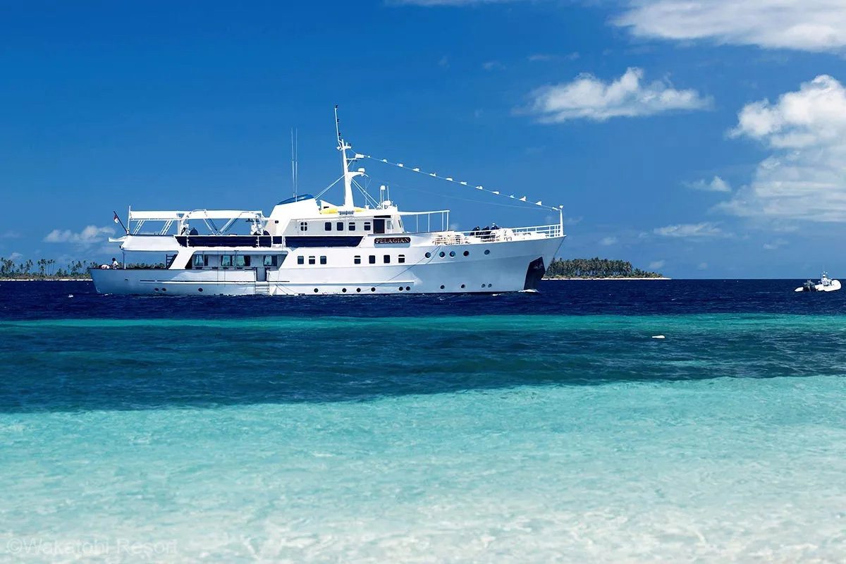 A classic white motor yacht is on the water by an island that is adorned with palm trees. Wakatobi diving. Pelagian. Pelagian Dive Yacht. Pelagian Liveaboard. Wakatobi Resort. Wakatobi. Wakatobi National Park. Luxury liveaboard Indonesia. Luxury liveaboard Wakatobi. Diving expeditions Indonesia.Reef diving Indonesia. Indonesia Liveaboard trip. Yacht charter Indonesia. Boat rental Indonesia. Diving trip in Indonesia. Luxury diving trip. Bespoke Indonesia Holiday.