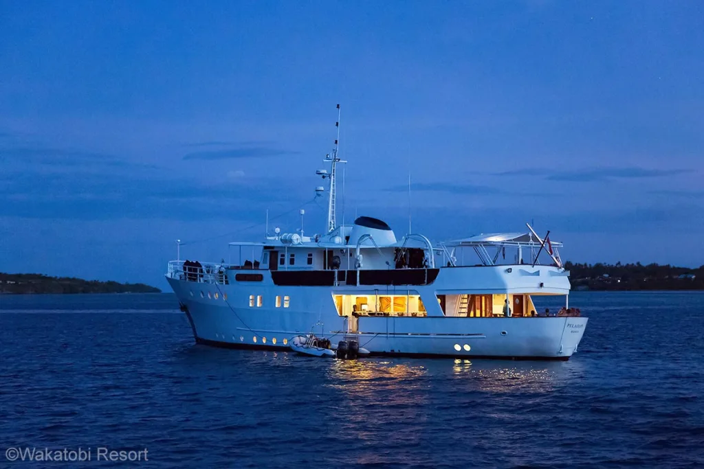 A classic white motor yacht is floating on the sea at dusk. Pelagian. Wakatobi diving. Pelagian Dive Yacht. Pelagian Liveaboard. Wakatobi Resort. Wakatobi. Wakatobi National Park. Luxury liveaboard Indonesia. Luxury liveaboard Wakatobi. Diving expeditions Indonesia.Reef diving Indonesia. Indonesia Liveaboard trip. Yacht charter Indonesia. Boat rental Indonesia. Diving trip in Indonesia. Luxury diving trip. Bespoke Indonesia Holiday.