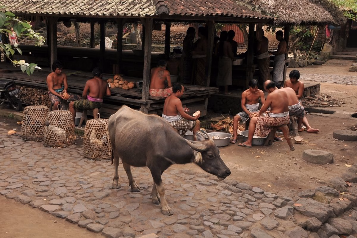 Tenganan Village