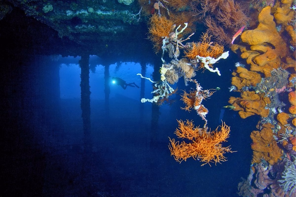 Tulamben Diving