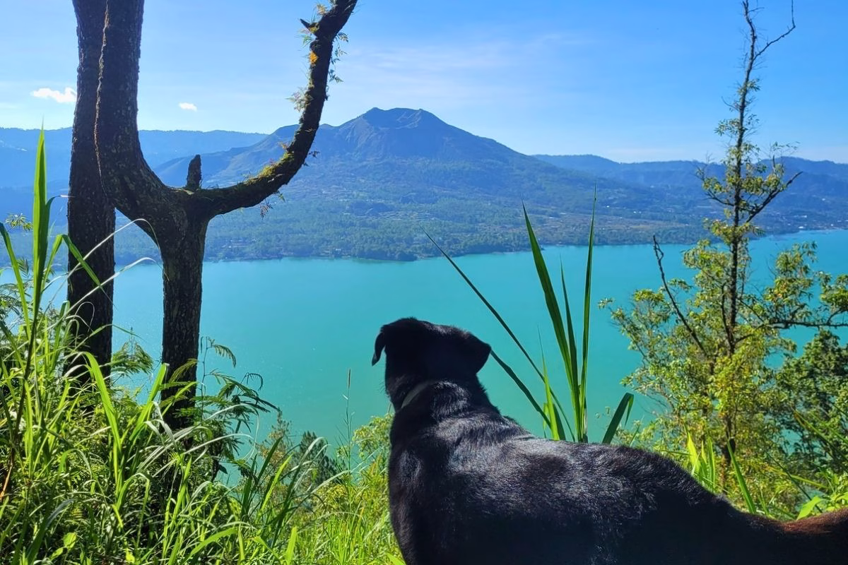 Mount Abang Trekking